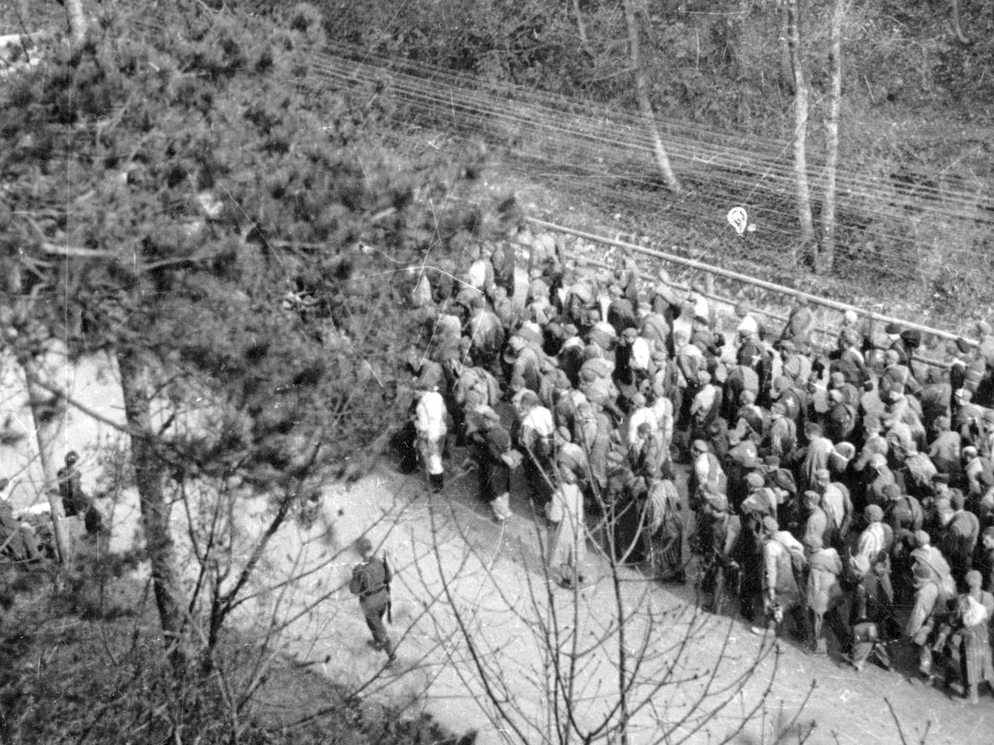 Todesmarsch der KZ-Häftlinge durch die SS-Wachmannschaften nach Evakuierung der KZ-Lager.